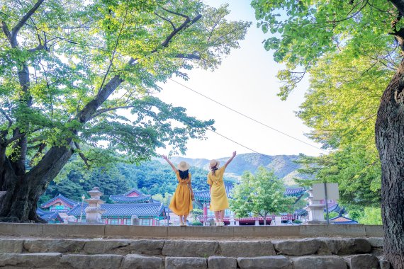 더운 여름, 푸르른 녹음으로 가득한 국·도립공원 여행