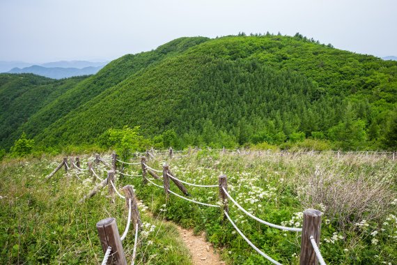 더운 여름, 푸르른 녹음으로 가득한 국·도립공원 여행