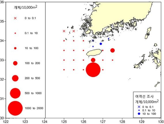 노무라입깃해파리 발견율 4.3배↑…3년 만에 ‘주의’특보