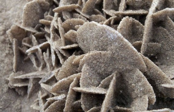 실제 사막의 장미의 모습. 해양 사막 국가에서 침전작용으로 형성되는 모래 덩어리이다.© 뉴스1
