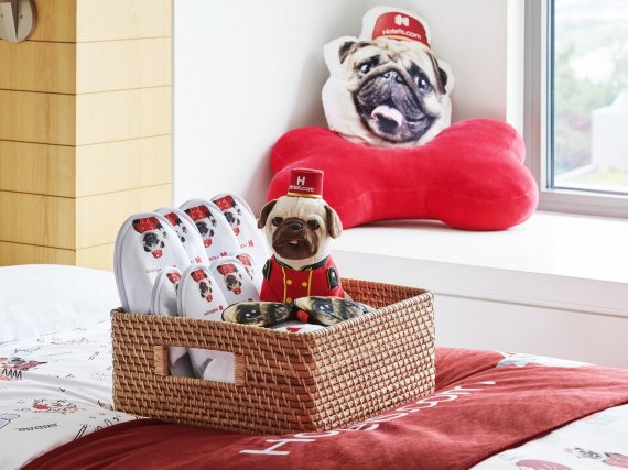 호텔스닷컴 제공