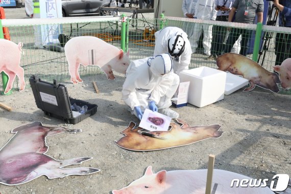 30일 세종시 어진동 정부세종청사 일원에서 아프리카 돼지열병 가상방역훈련이 진행되고 있다. /사진=뉴스1