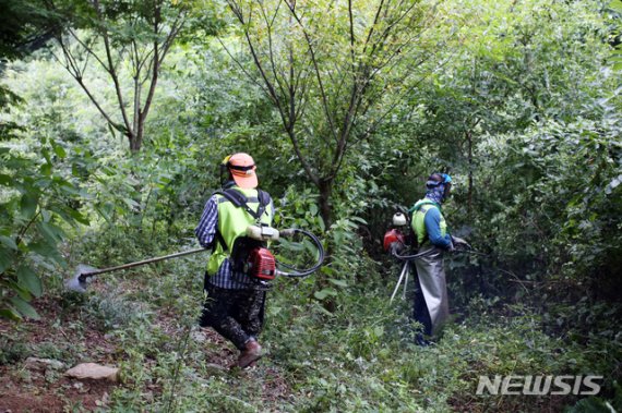 지난 23일 충북 청주에서 실종된 조은누리(14)양을 찾기 위한 수색작업이 9일째 이어진 31일, 원활한 수색을 위한 제초작업이 이뤄지고 있다. /사진=뉴시스