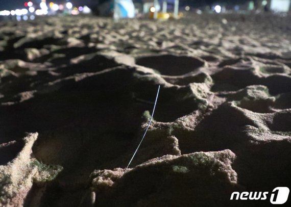 지난 1일 강릉 경포해변에서 발견된 스파클라(막대형 불꽃놀이)의 잔여물의 모습.2019.08.01/뉴스1 © News1 이찬우 기자