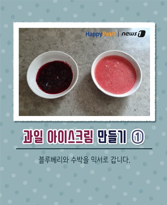 [펫카드] 강아지 간식 '과일 아이스크림' 만들기