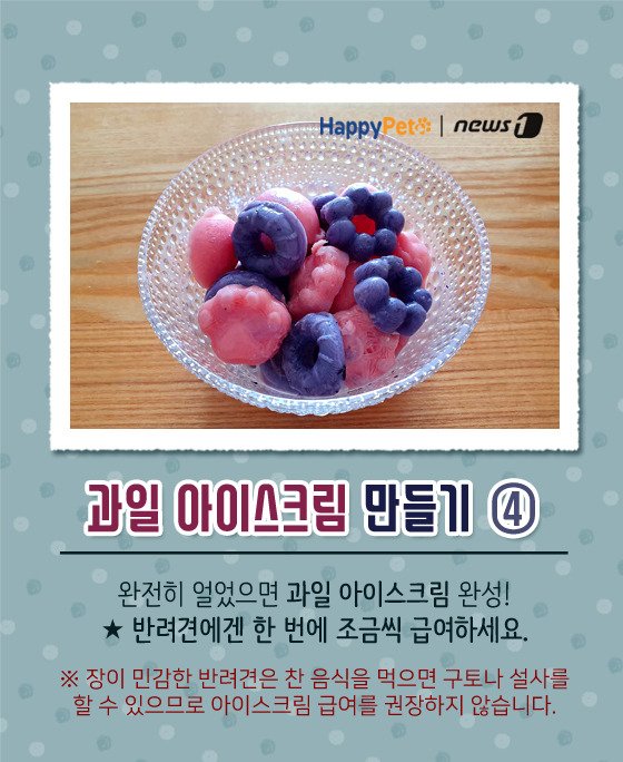 [펫카드] 강아지 간식 '과일 아이스크림' 만들기