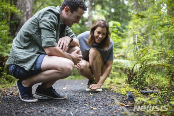 스튜어트 섬에서 조류를 관찰하고 있는 사람들