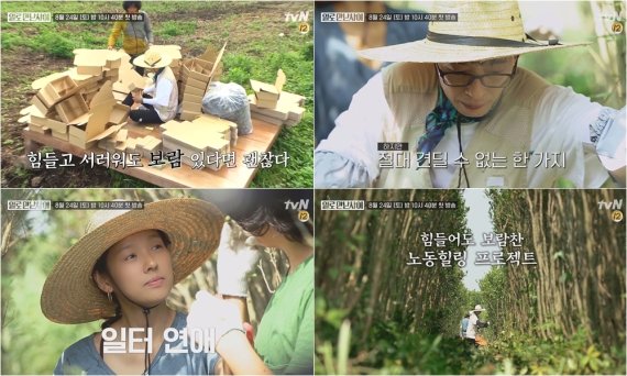 tvN © 뉴스1