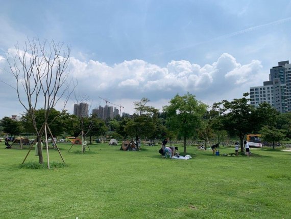 한강 피크닉을 즐기고 있는 시민들 /사진=정호진