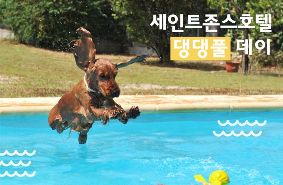 세인트존스호텔 댕댕풀데이