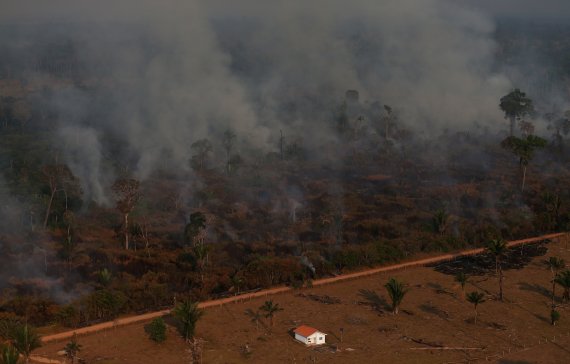 An aerial view of a burning tract of Amazon jungle as it is cleared by loggers and farmers near Porto Velho, Brazil August 29, 2019. REUTERS/Ricardo Moraes /REUTERS/뉴스1 /사진=