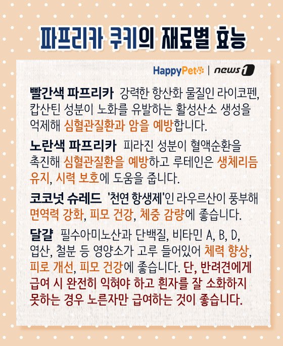 [펫카드] 강아지 간식 '파프리카 쿠키' 만들기