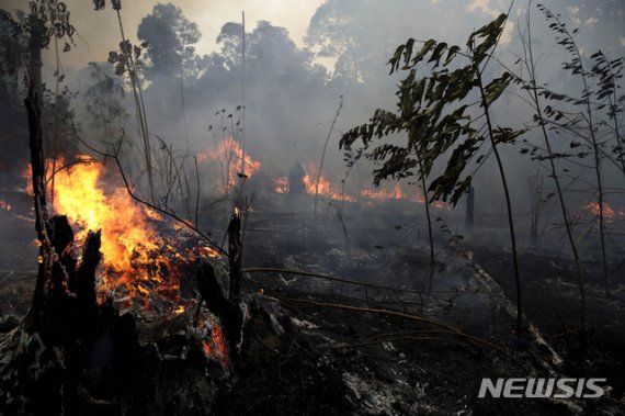 브라질 아마존의 일부인 자쿤다 국립 삼림으로 가는 길에 나무들이 26일(현지시간) 불타고 있다. 2019.08.27. /사진=뉴시스
