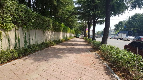 전주시, 팔복동 산업단지 가로녹화 조성..."파릇해졌다"