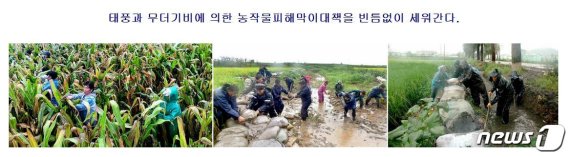북한 노동당 기관지 노동신문이 8일 태풍 피해를 보도했다. (노동신문) © 뉴스1