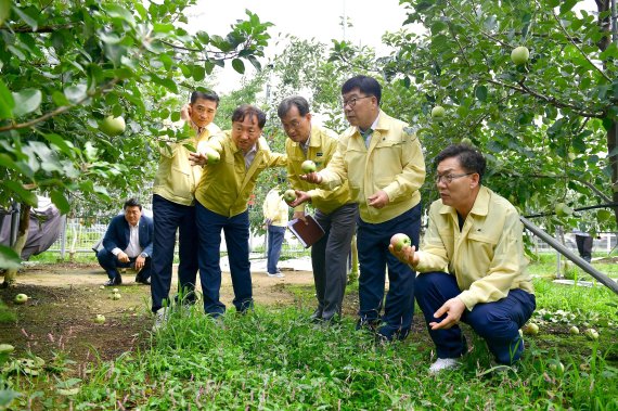 이대훈 농협은행장(오른쪽)이 9일 경기도 광주시 위치한 태풍피해농가를 찾아 피해현황을 점검하고 있다.