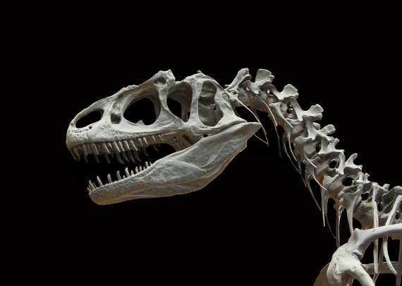 공룡 멸종은 '운석 충돌' 때문…원폭보다 100억배 강력