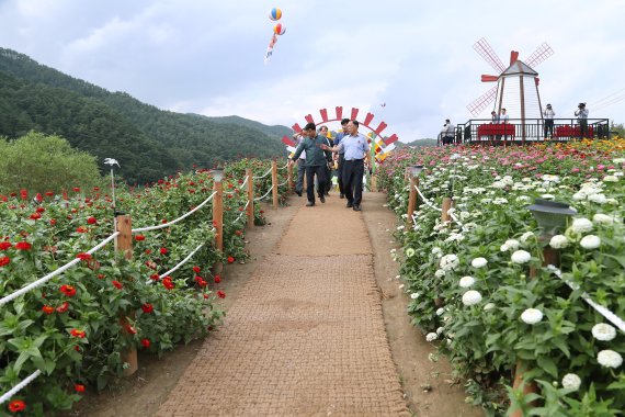 김성기 가평군수 평창군 백일홍축제 벤치마킹. 사진제공=가평군