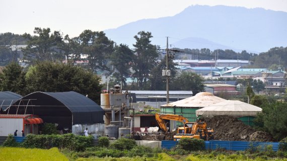 17일 돼지 전염병인 아프리카돼지열병(ASF)이 발생한 경기도 파주시의 한 양돈농장에서 굴삭기로 살처분 준비 작업을 하고 있다. '돼지 흑사병'으로 불리기도 하는 이 질병은 바이러스성 제1종 가축전염병으로 치사율이 100%에 달하는 등 치명적이나 아직 예방백신이 개발되지 않았다. 사람에게는 전염되지는 않는다. 사진=서동일 기자