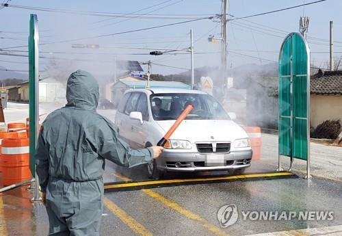 아프리카돼지열병, 정부 방역망 또 뚫렸나... 파주서 2건 의심 신고, 태풍도 변수