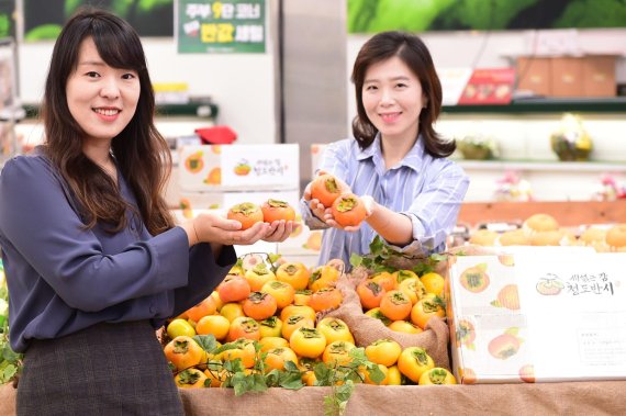 농협유통, 가을에만 즐길 수 있는 씨 없는 감 청도반시 첫 출하