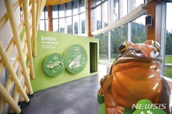 【담양=뉴시스】 송창헌 기자 = 전남 담양에 개구리를 주제로 한 국내 유일의 개구리 생태공원이 문을 열었다고 담양군이 29일 밝혔다. 생물 다양성 보전과 생태환경 체험교육장으로서의 기능이 기대된다. 2019.09.29 (사진=담양군 제공)photo@newsis.com