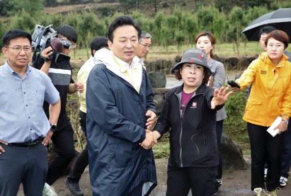 [fn포토] 가을장마·잇단 태풍·우박에 제주농심 ‘피멍’