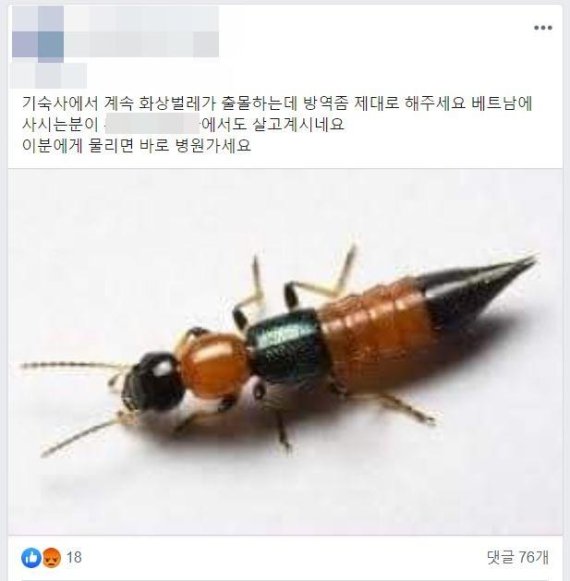 '화상벌레' 출몰한 대학 기숙사.. "침대에 기어다녀요" [헉스]