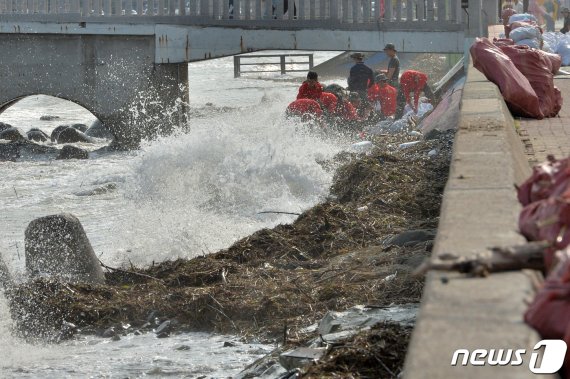해병대 1사단 장병들이 4일 오후 경북 포항시 북구 영일대해수욕장에서 태풍 미탁의 영향으로 해안으로 밀려온 각종 쓰레기를 치우고 있다. 2019.10.4/뉴스1 © News1 최창호 기자