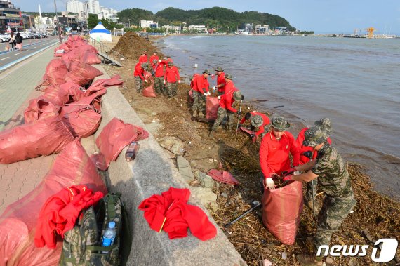 해병대 1사단 장병들이 4일 오후 경북 포항시 북구 영일대해수욕장에서 태풍 미탁의 영향으로 해안으로 밀려온 각종 쓰레기 퇴치 작전을 펼치고 있다. 2019.10.4/뉴스1 © News1 최창호 기자