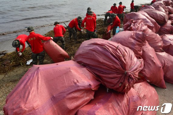 4일 오후 해병대 1사단 장병들이경북 포항시 북구 영일대해수욕장에서 태풍 미탁의 영향으로 해안으로 밀려온 각종 쓰레기를 포대에 담고 있다.2019.10.4/뉴스1 © News1 최창호 기자