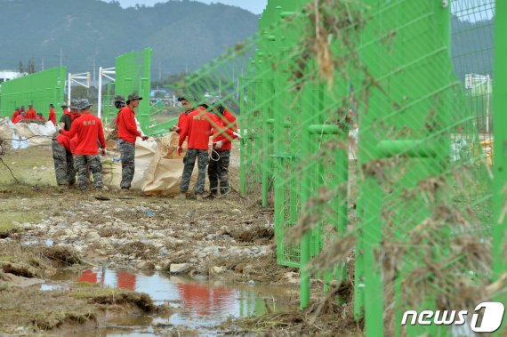 해병대 1사단 장병들이 4일 오후 경북 포항시 북구 흥해읍 곡강생태천에서 태풍 미탁의 영향으로 밀려온 각종 쓰레기를 치우고 있다. 2019.10.4/뉴스1 © News1 최창호 기자