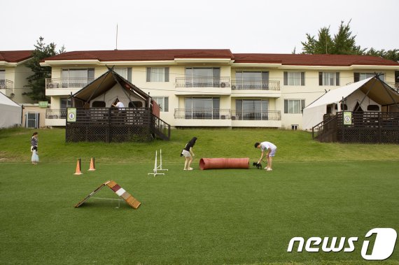 용인 ‘골드펫리조트’(사진제공=경기관광공사)/© 뉴스1