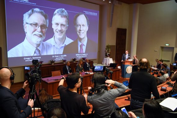 Thomas Perlmann, Secretary-General of the Nobel Committee, presents the Nobel laureates, William G. Kaelin Jr, Sir Peter J. Ratcliffe and Gregg L. Semenza, of this year's Nobel Prize in Medicine during a news conference in Stockholm, Sweden, October 7, 2019. Pontus Lundahl/TT News Agency/via REUTERS