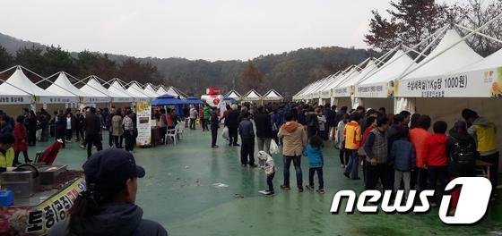 지난 2017년 개최된 이천인삼축제 때 모습.(뉴스1 DB)© 뉴스1