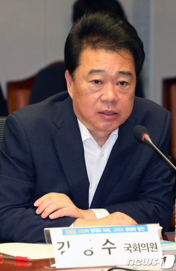 김성수 더불어민주당 의원 2018.6.21/(뉴스1DB) © News1