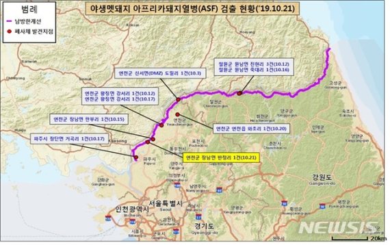 연천 민통선 멧돼지 폐사체서 아프리카돼지열병 바이러스 검출