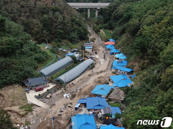 '불혹' 넘긴 한국, 평균 나이 42.6세..세종, 유일한 30대 '젊은 도시'