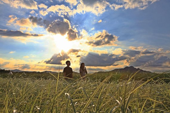 제4회 양주 천일홍 전국사진 공모전 은상-전인민 완벽한 날. 사진제공=양주시