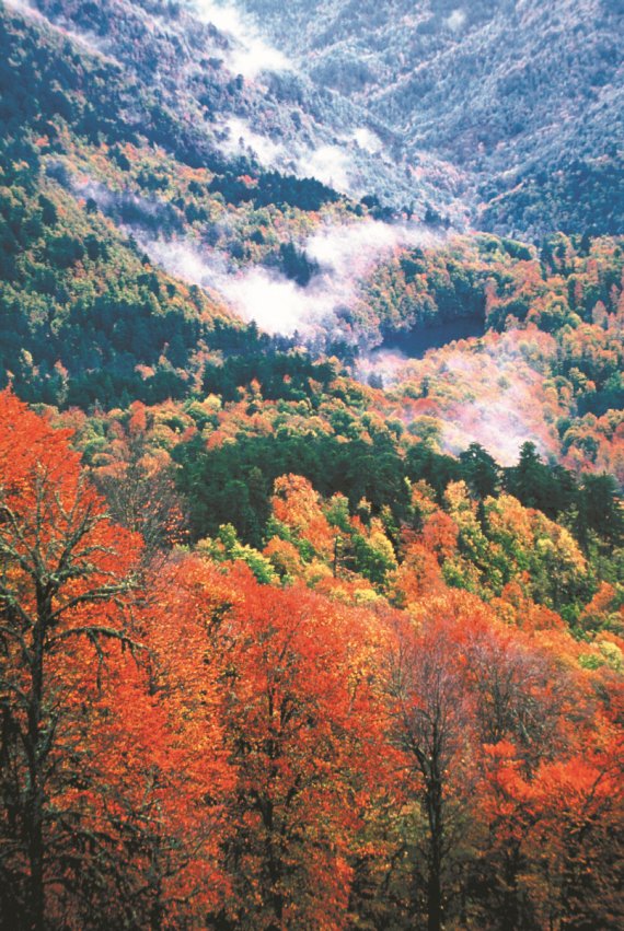 단풍으로 물든 예디골레르 국립공원. 이하 터키문화관광부 제공