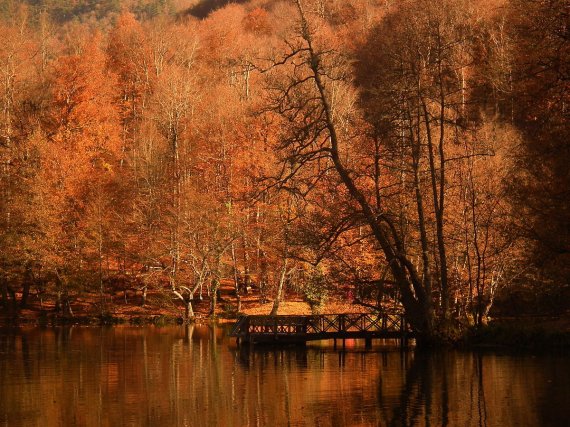 새빨간 단풍으로 뒤덮인 아반트 호수