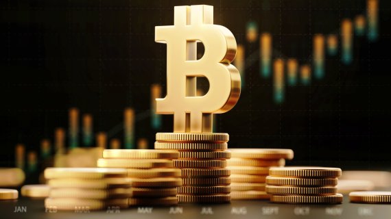 [글로벌포스트] 칼리브라 CEO “비트코인, 화폐 아닌 디지털 금”