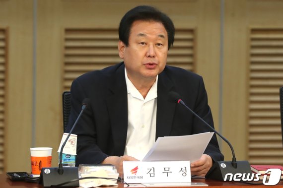 김무성 자유한국당 의원. 뉴스1