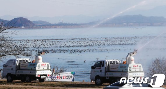 전북 부안군(동진강)야생조류 고병원성 AI 확진…방역 비상