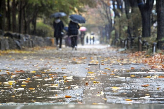 주말인 17일 전국에 비가 내려 기온이 하락한 가운데 서울 영등포 문래동을 찾은 시민들이 우산을 쓰고 낙엽이 떨어진 길을 걷고 있다. 기상청에 따르면 우리나라는 북서쪽 대기 하층에서 영하 5도 이하의 차고 건조한 공기가 남하하면서 18일 오후부터 기온이 크게 떨어질 것으로 전망했다. 사진=박범준 기자