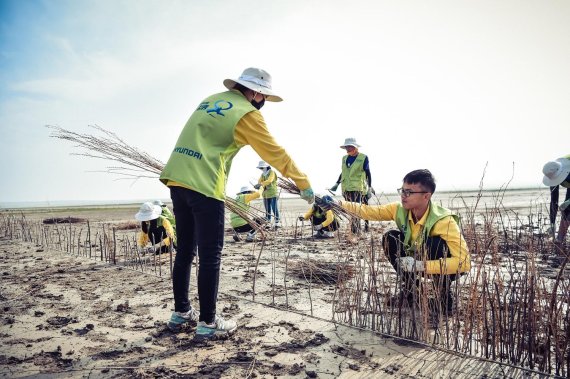 현대차그룹이 지난 8월 중국 하기노르 지역에서 실시한 내몽고 사막화 방지사업 ‘현대그린존 프로젝트’에서 봉사단원들이 사막화 방지 활동을 하고 있다. 현대차그룹 제공