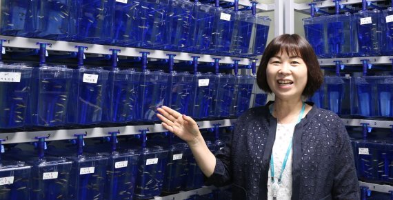 한국화학연구원 바이오기반기술연구센터 배명애 센터장이 실험동물 대안으로 각광받고 있는 제브라피쉬의 특성에 대해 설명하고 있다. 한국화학연구원 제공