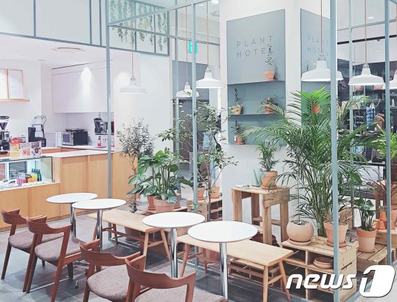 반려식물 호텔. 사진 롯데쇼핑 제공 © 뉴스1