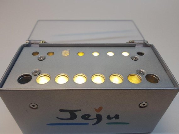 광어 양식, 성장 빠른 암컷 치어 판별 진단 키트 개발