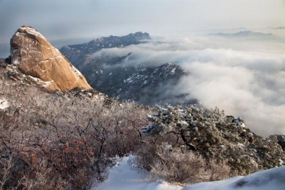 고양 북한산성 상고대. 사진제공=경기북부청